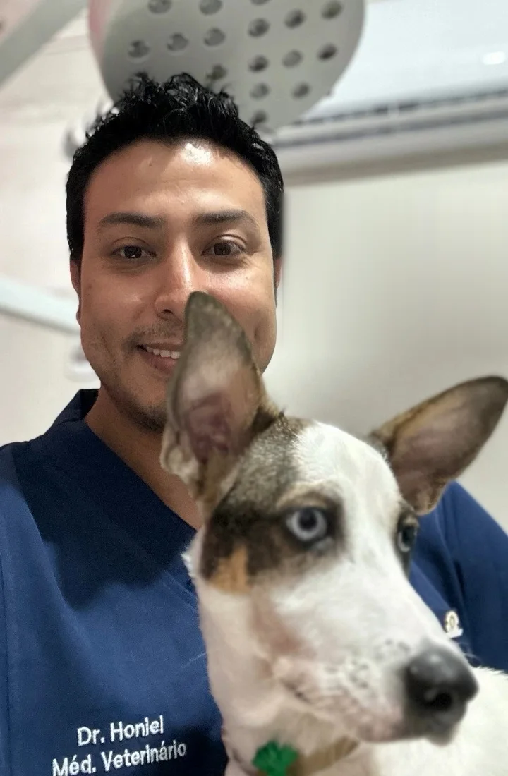 Médico veterinário de jaleco azul sorrindo com um cachorro de orelhas grandes no colo