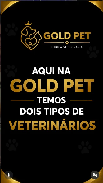 Capa de reel: “Aqui na Gold Pet temos dois tipos de veterinários”